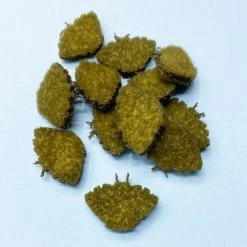 Enrico Puglisi EP Permit Crab Body Fly Fishing