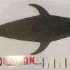 SquidNation Lures Squid Nation Black Flap "Mudflap" Dredge Teasers
