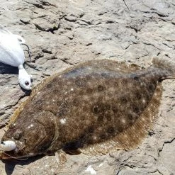 Berkley Gulp!® Saltwater Swimming Mullet Lures