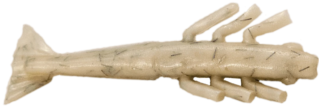 Fishbites Fight Club 3.5" Fightin' Shrimp Lures 1 Fishbites Fight Club 3.5" Fightin' Shrimp Lures