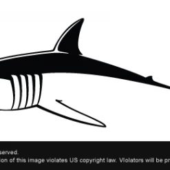 SteelFin Fish Species Decals Accessories