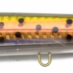 Madd Mantis Pencil Poppers Lures