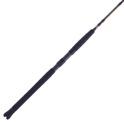 Penn Battalion II Inshore Spinning Rods