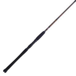 Penn Squadron III Inshore Spinning Rods