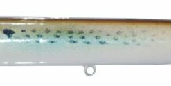 Drifter Tackle Doc Spook Lures