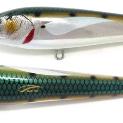 Jack Fin Argo 180-F Stickbaits