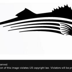 SteelFin Fish Species Decals Accessories