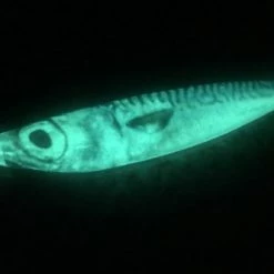 Ling Cod Jigs Lures Ling Cod Living Mac Glow Jigs