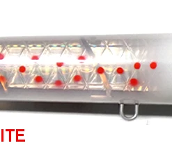 Madd Mantis Plank Spook Lures