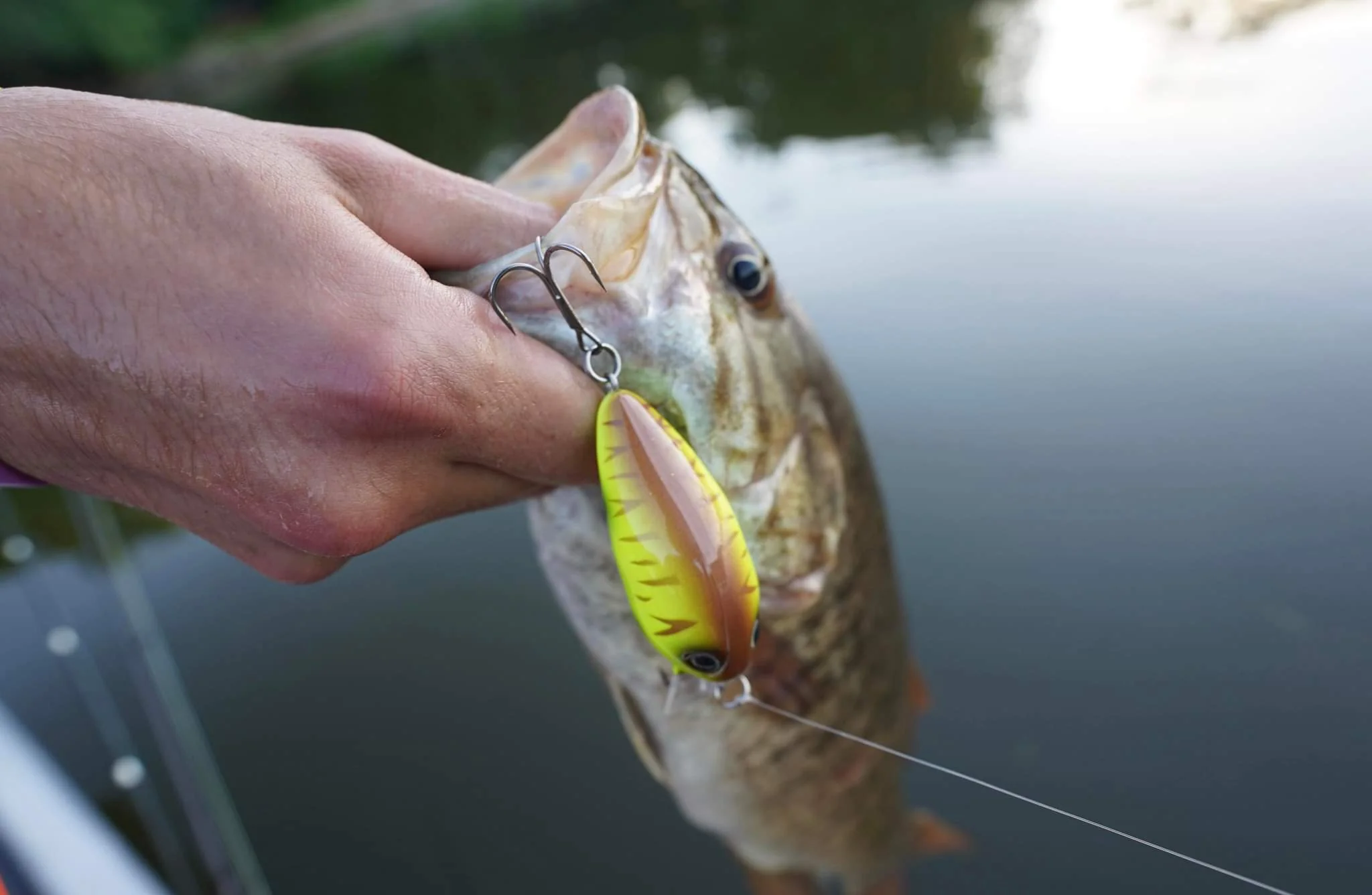 White Water Outfitters Sales 4 White Water Outfitters Sales -White Water Outfitters Sales ykj